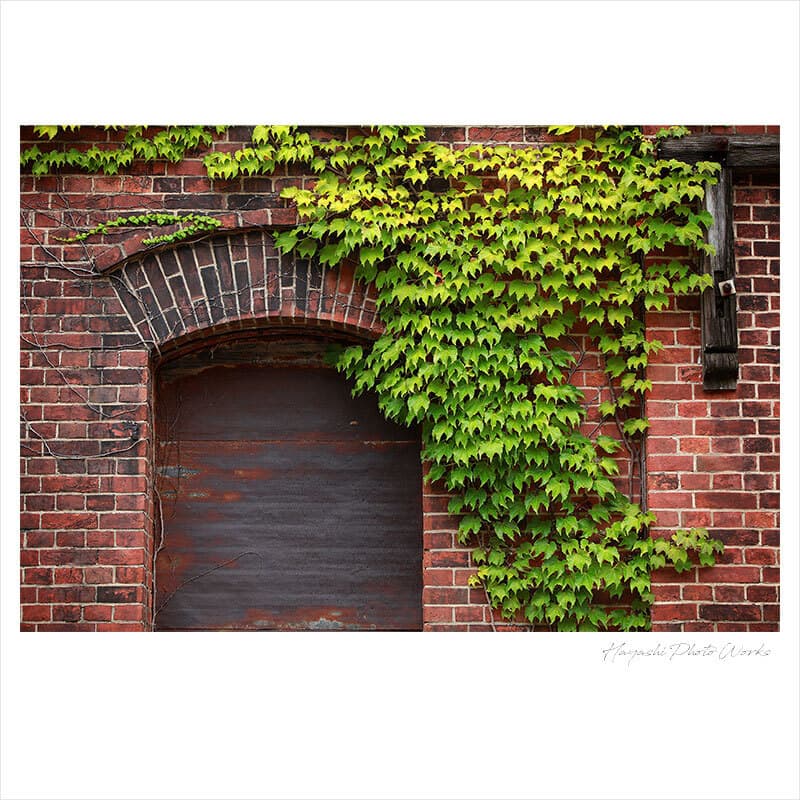 舞鶴市で地元ロケーション撮影