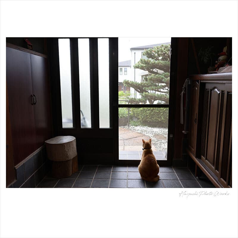 愛知県西尾市で地元ロケーション撮影